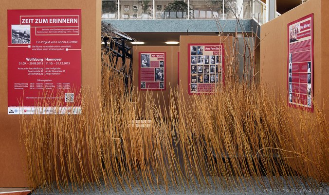 DSC06571_finish_mini