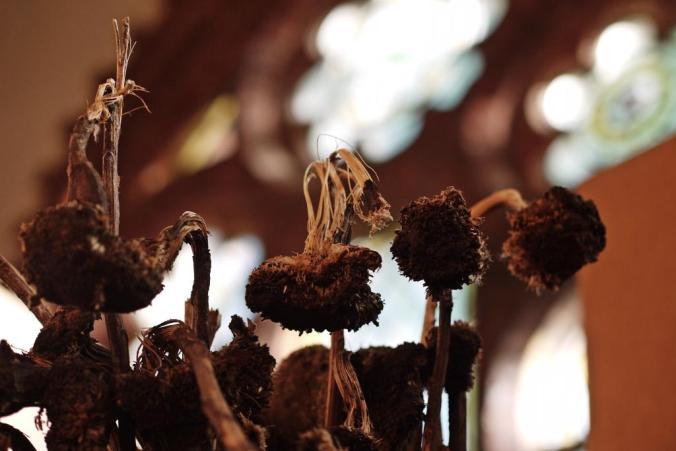 Zeit_zum_Erinnern_Alte_Predigthalle_Foto_Julia_Luedtke_3_k