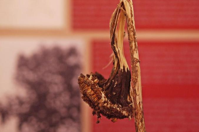 Zeit_zum_Erinnern_Alte_Predigthalle_Foto_Julia_Luedtke_7.k